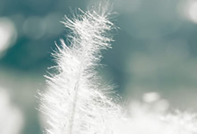 法國法令2019-1007協(xié)調與某些非食品產品安全有關的監(jiān)管規(guī)定